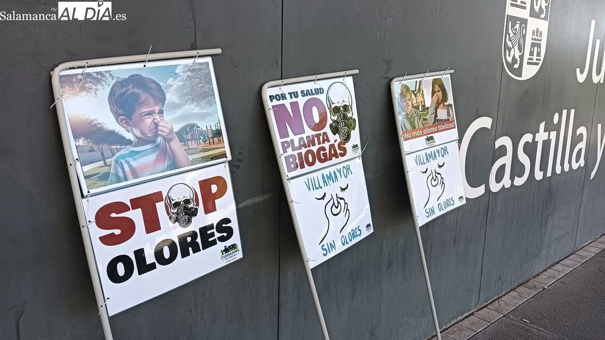 La plataforma Cuidamos Villamayor se manifiesta ante la Junta en Salamanca para exigir la dimisión de Eloy Ruiz por los malos olores y los planes de biogás | FOTOS: T.S