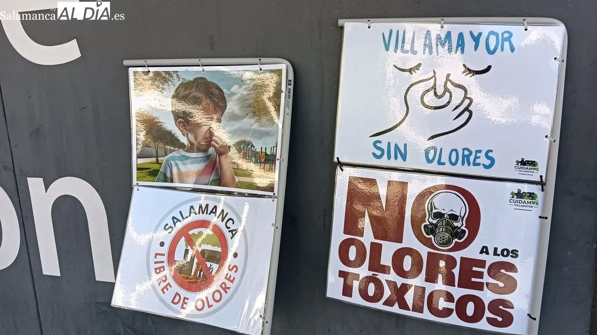 La plataforma Cuidamos Villamayor se manifiesta ante la Junta en Salamanca para exigir la dimisión de Eloy Ruiz por los malos olores y los planes de biogás | FOTOS: T.S
