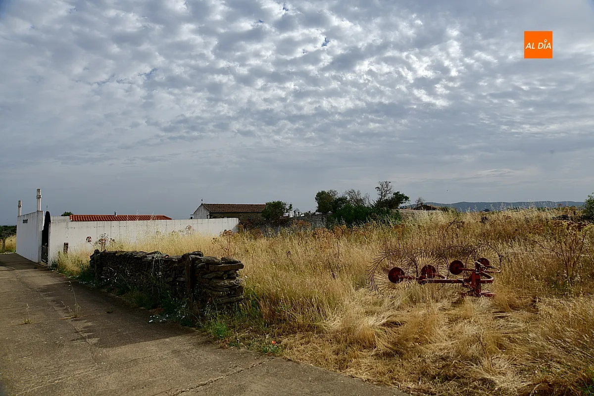 Zamarra licita la compra de un solar para el cementerio
