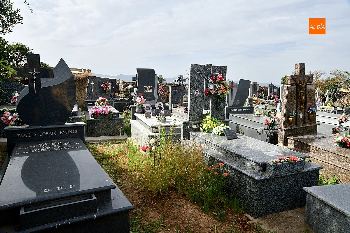 Zamarra licita la compra de un solar para el cementerio