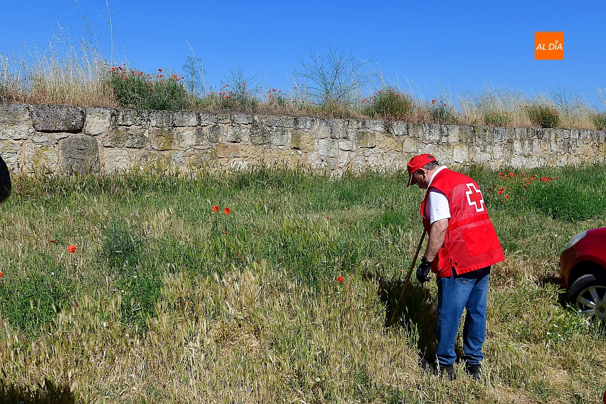 Voluntarios de Cruz Roja con el programa basuraleza