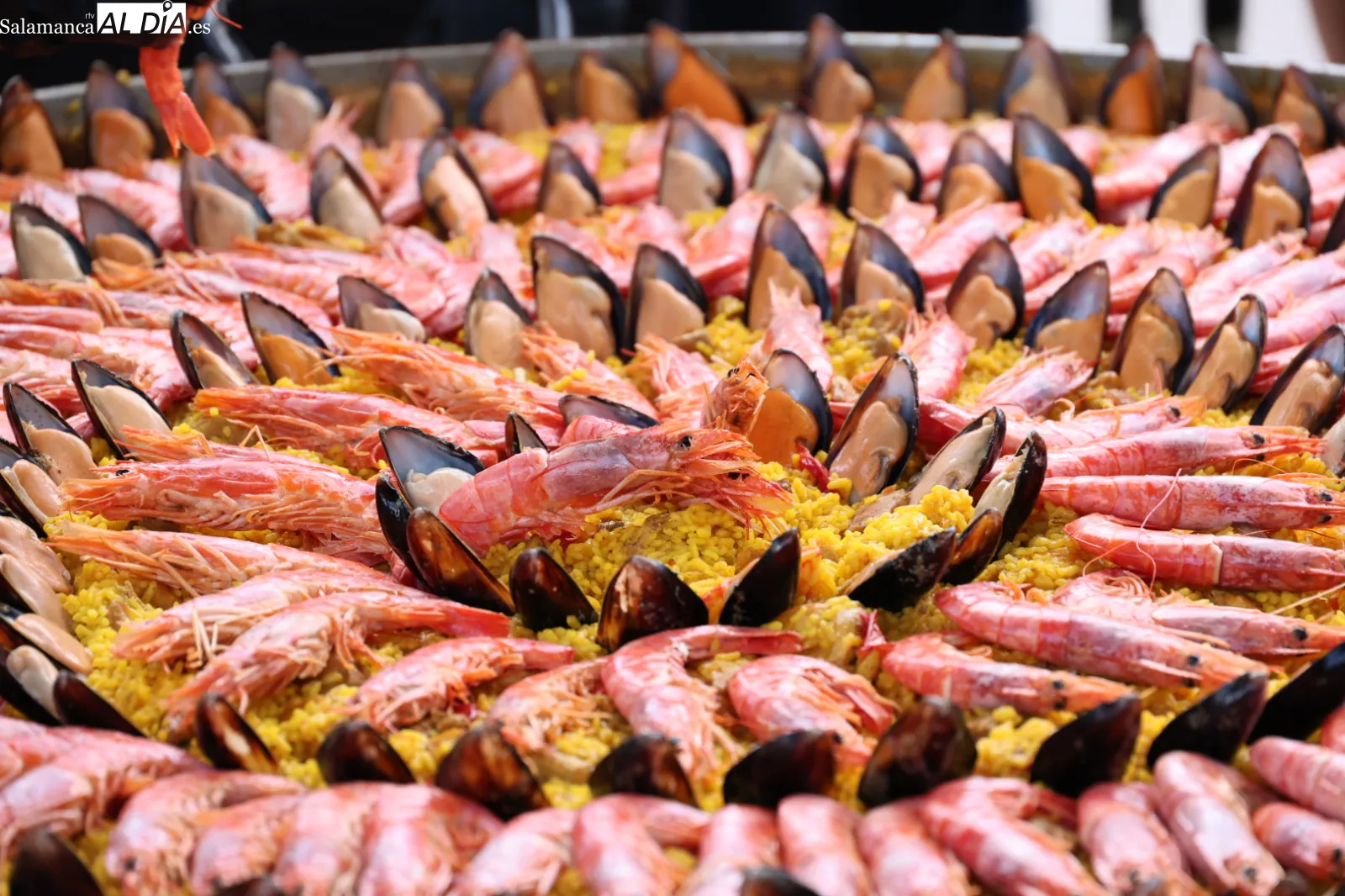 Vecinos de los barrios de Prosperidad, Delicias y San Isidro participan en la paella que ha cerrado las fiestas organizadas por Prodesi. Fotos: David Sañudo