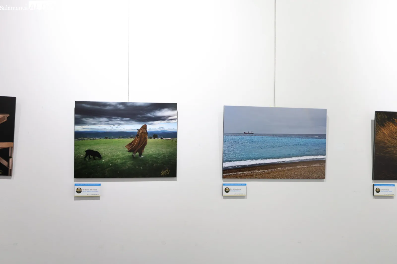 I Exposición Solidaria de los Artistas de los Jueves Fotográficos. Fotos: David Sañudo