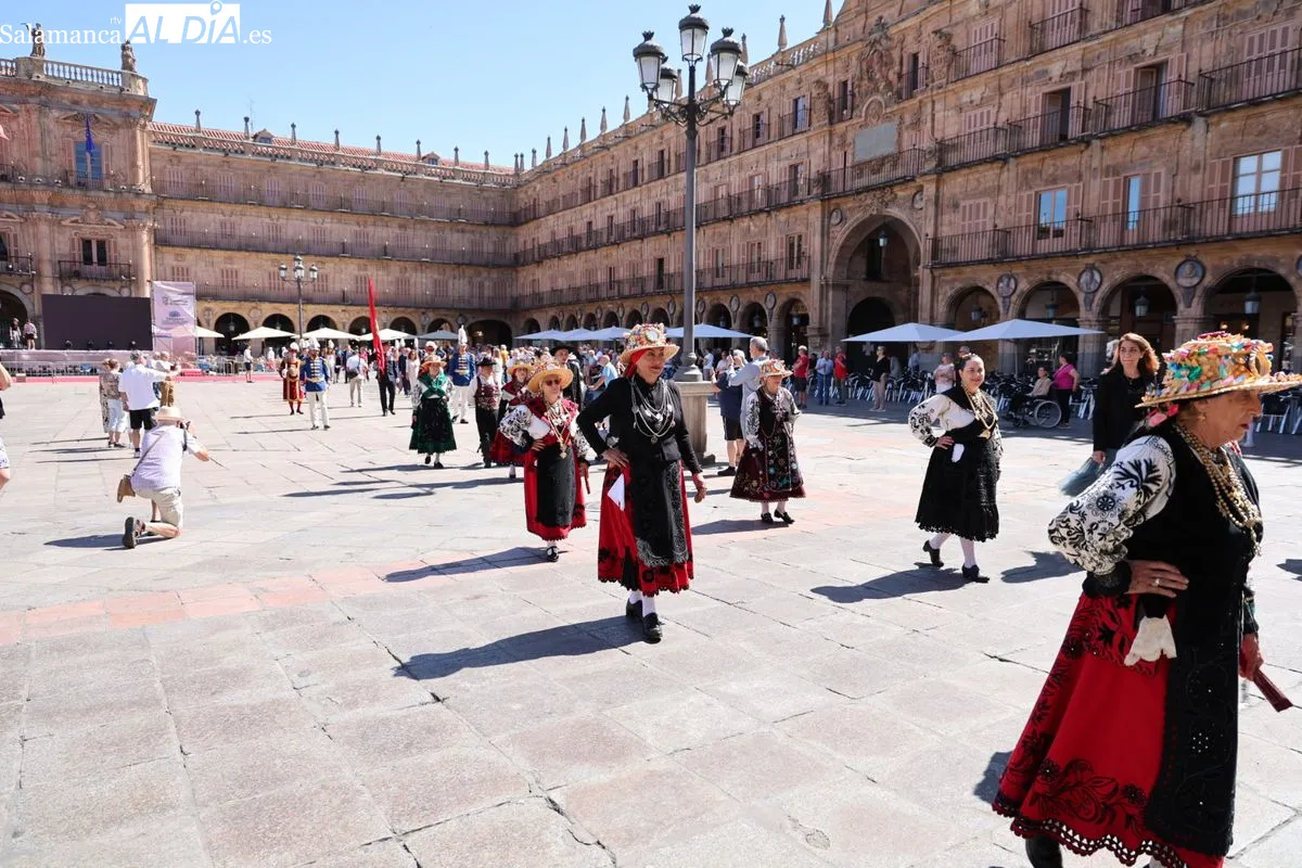 Comitiva de la Corporación municipal de Salamanca hasta la catedral para honrar a San Juan de Sahagún. Fotos: David Sañudo