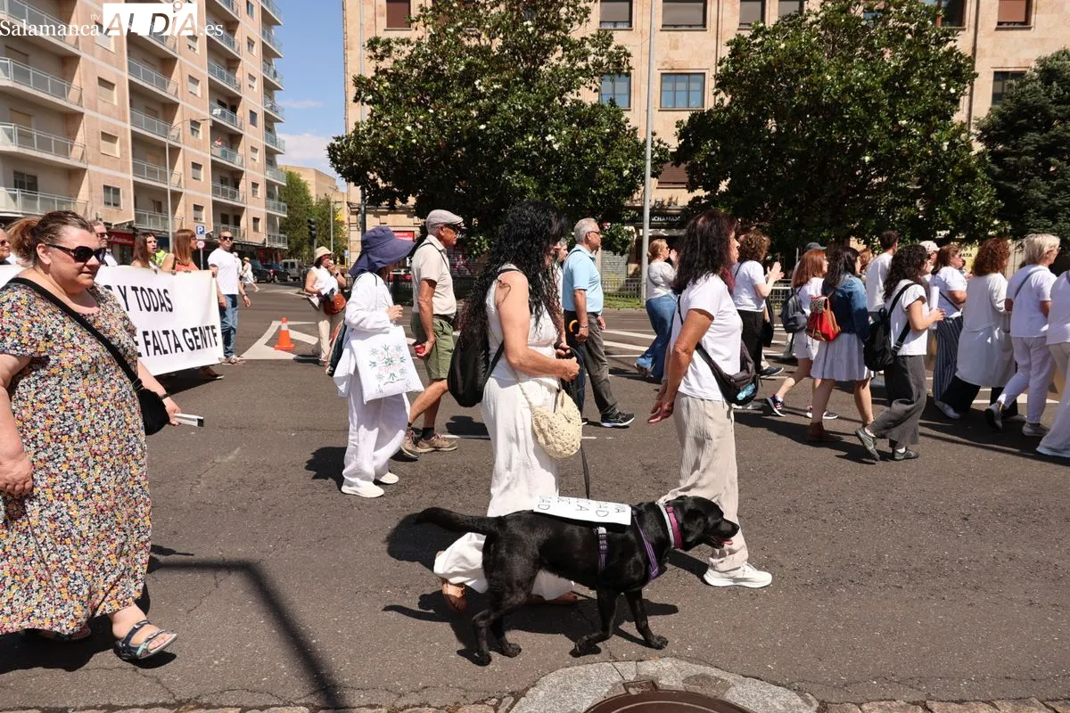 La Marea Blanca protesta en las calles de Salamanca por una sanidad pública digna | FOTOS: David Sañudo