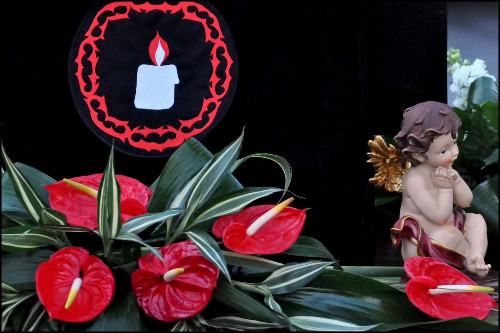 Foto 3 - Luz y palabra: catorce a&ntilde;os de una llama encendida 