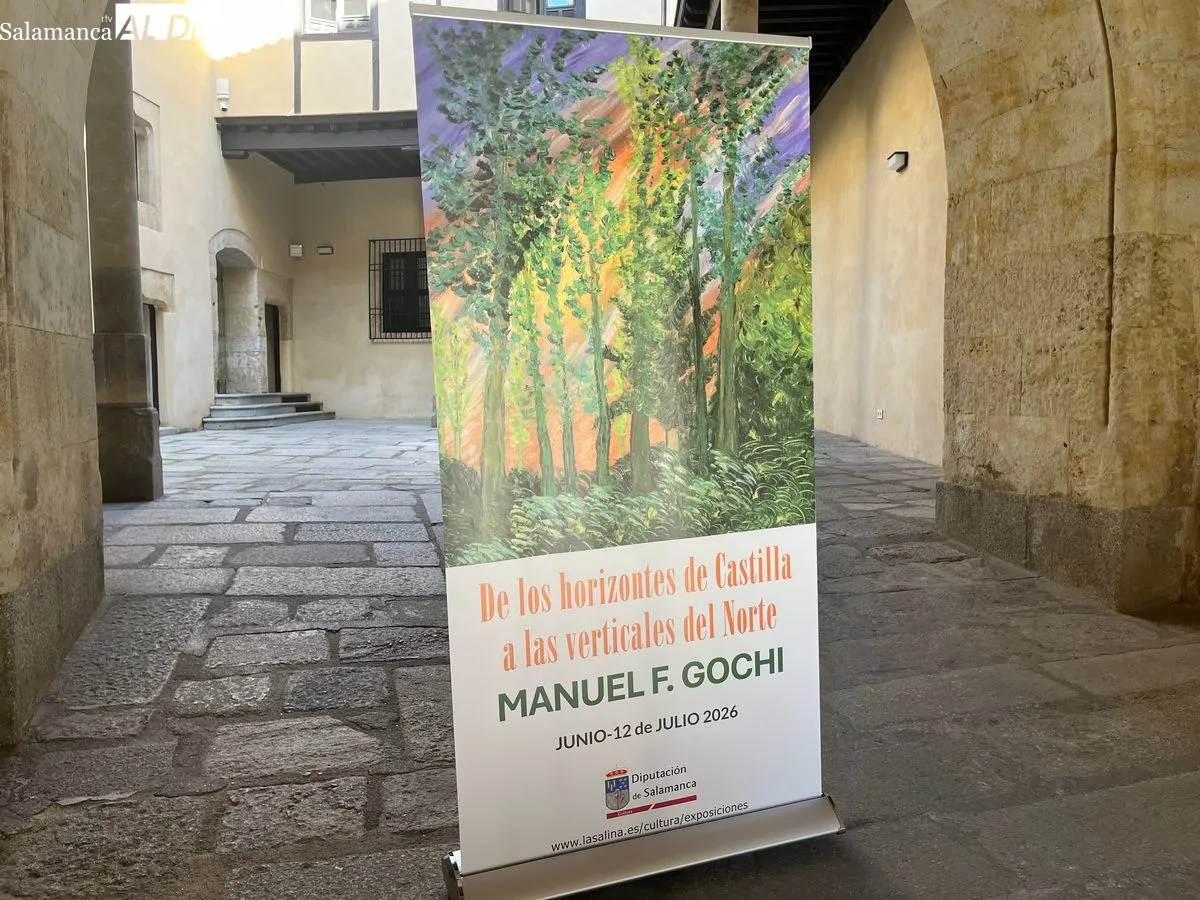 La Torre de los Anaya acoge el regreso de F. Gochi con una gran exposición. Foto de Emily Rivas