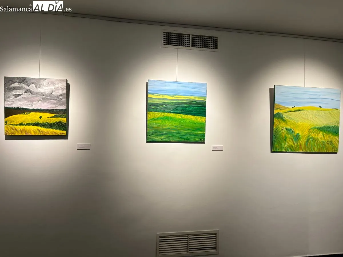 La Torre de los Anaya acoge el regreso de F. Gochi con una gran exposición. Foto de Emily Rivas
