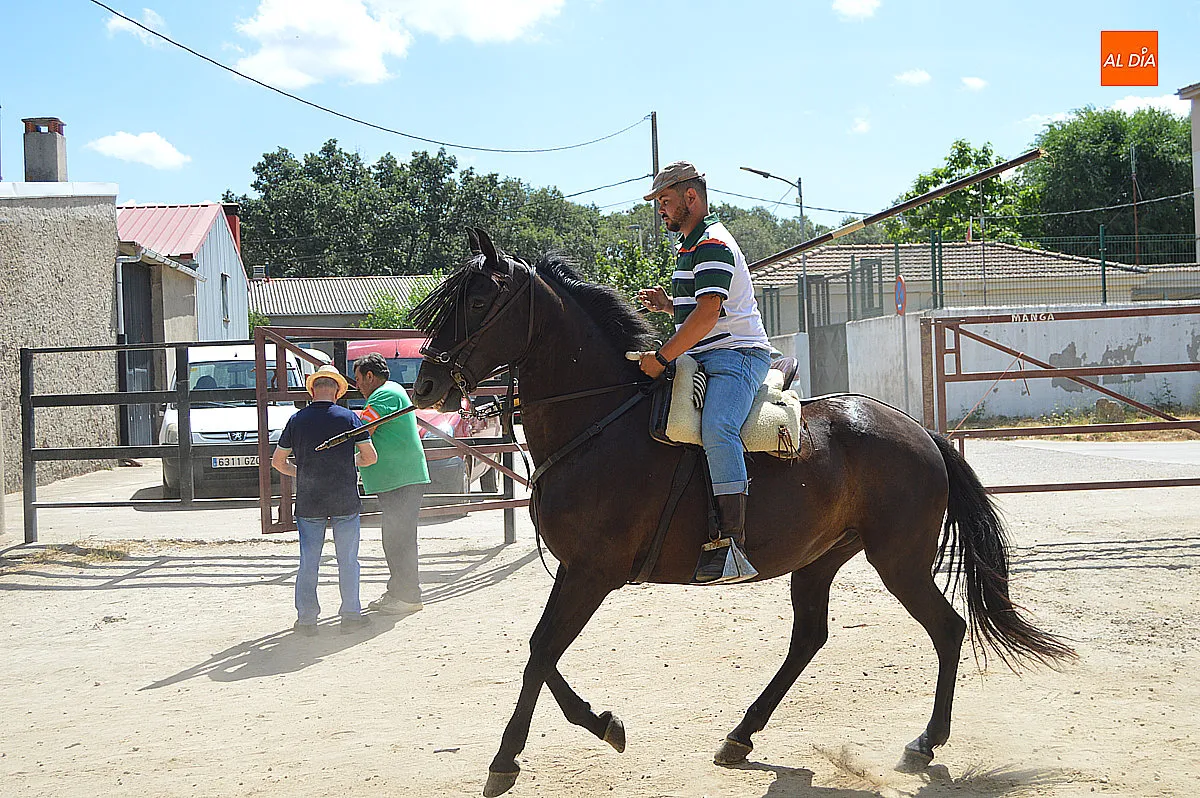 Encierro a caballo del sábado en el Payo 