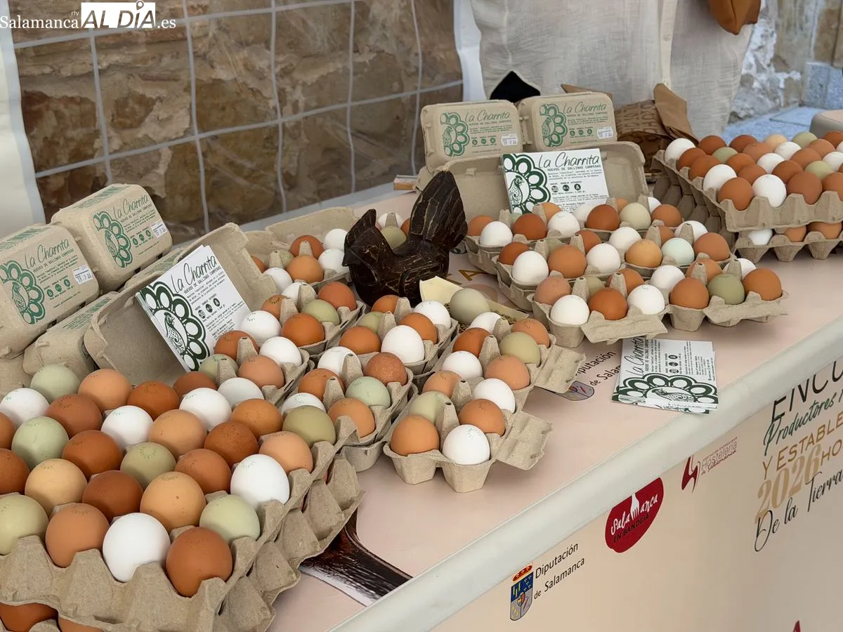 La Diputación de Salamanca ha acogido el primer encuentro entre productores de la marca 'Salamanca en Bandeja' y profesionales de la restauración. Foto de Vanesa Martins