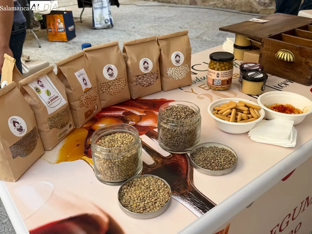 La Diputación de Salamanca ha acogido el primer encuentro entre productores de la marca 'Salamanca en Bandeja' y profesionales de la restauración. Foto de Vanesa Martins