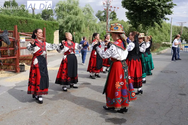 Foto 2 - La XV Feria de San Antonio desaf&iacute;a a la lluvia y re&uacute;ne en Alba de Tormes a m&aacute;s de 160 animales y 18 puestos artesanos