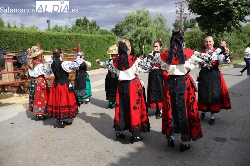 Foto 4 - La XV Feria de San Antonio desaf&iacute;a a la lluvia y re&uacute;ne en Alba de Tormes a m&aacute;s de 160 animales y 18 puestos artesanos