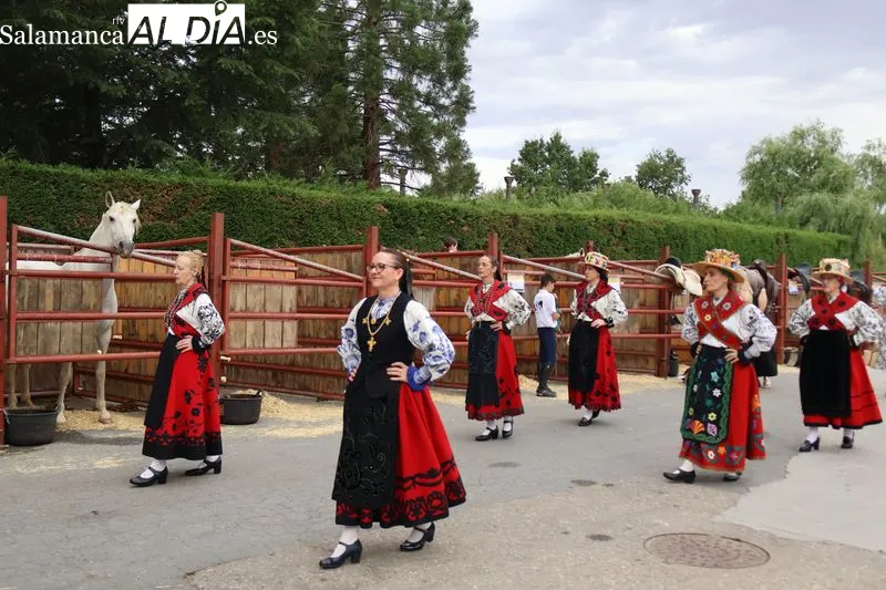 Foto 7 - La XV Feria de San Antonio desaf&iacute;a a la lluvia y re&uacute;ne en Alba de Tormes a m&aacute;s de 160 animales y 18 puestos artesanos