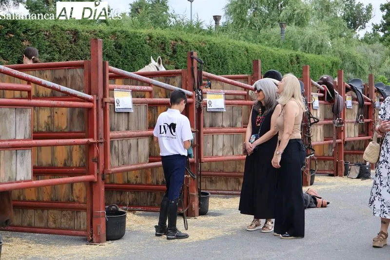 Foto 8 - La XV Feria de San Antonio desaf&iacute;a a la lluvia y re&uacute;ne en Alba de Tormes a m&aacute;s de 160 animales y 18 puestos artesanos