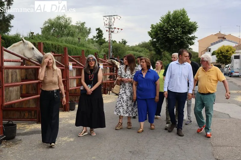 Foto 9 - La XV Feria de San Antonio desaf&iacute;a a la lluvia y re&uacute;ne en Alba de Tormes a m&aacute;s de 160 animales y 18 puestos artesanos