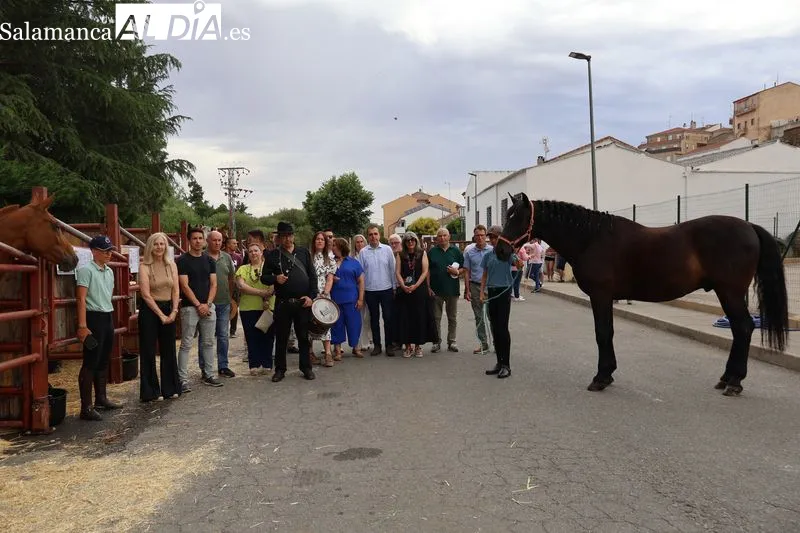 Foto 11 - La XV Feria de San Antonio desaf&iacute;a a la lluvia y re&uacute;ne en Alba de Tormes a m&aacute;s de 160 animales y 18 puestos artesanos