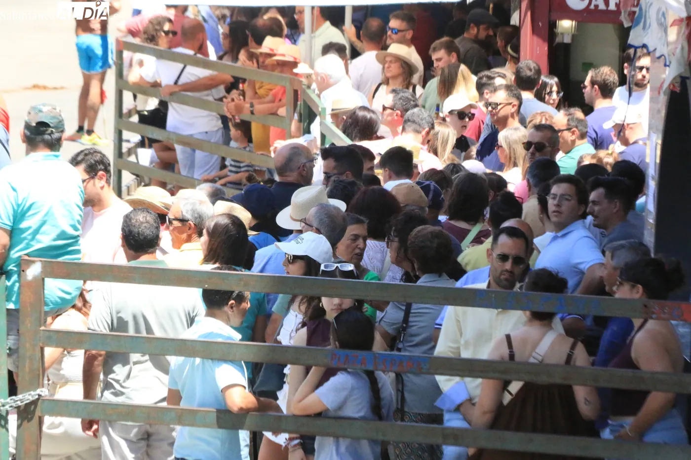 Encierro a caballo del Corpus en Vitigudino / CORRAL