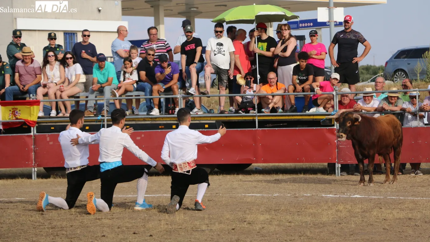 Programa de las fiestas de San Pedro en Villar de Peralonso