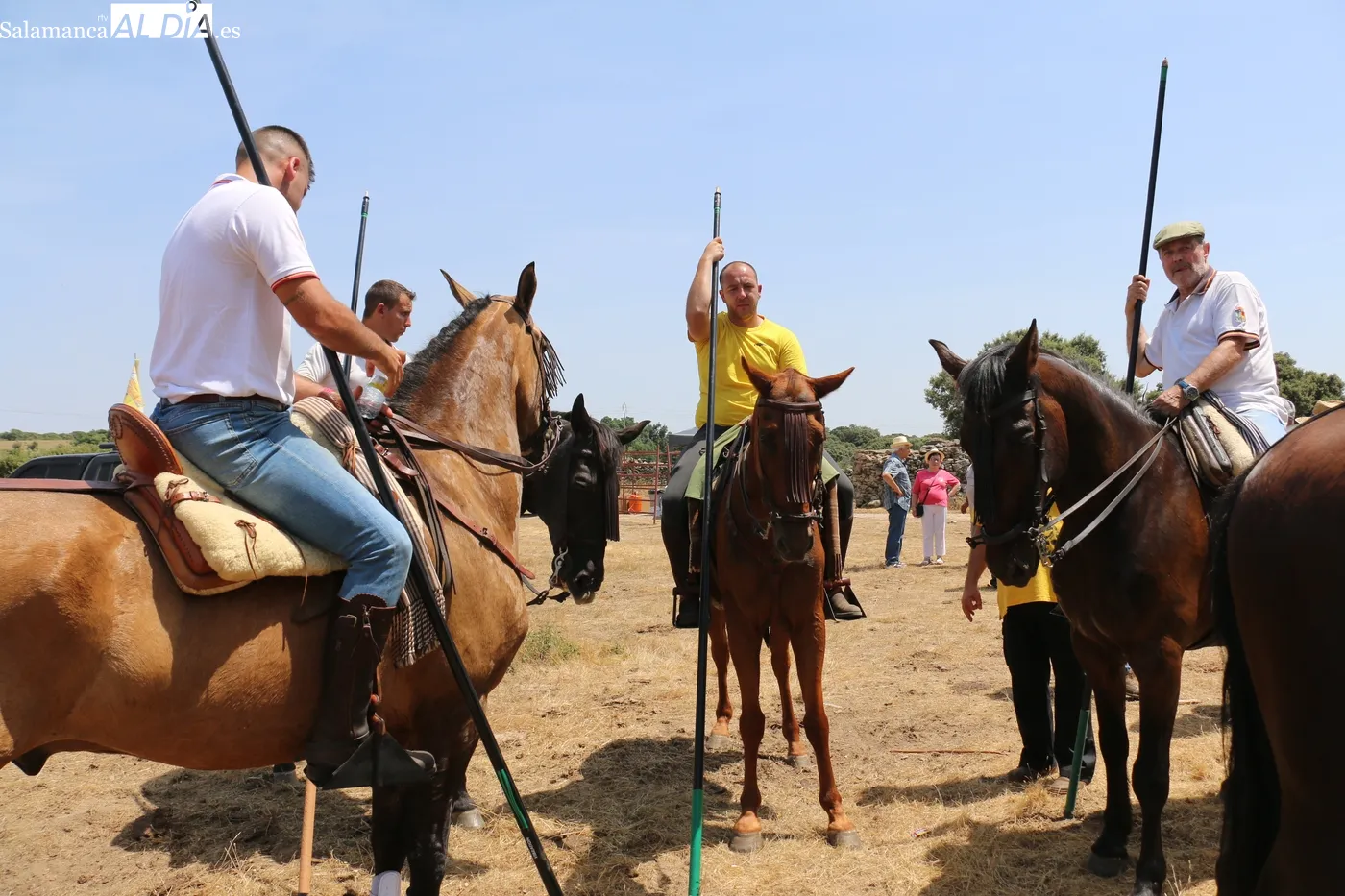Emoción en el 'apartasdo de la corrida' en El Monte, en Hinojosa de Duero / CORRAL