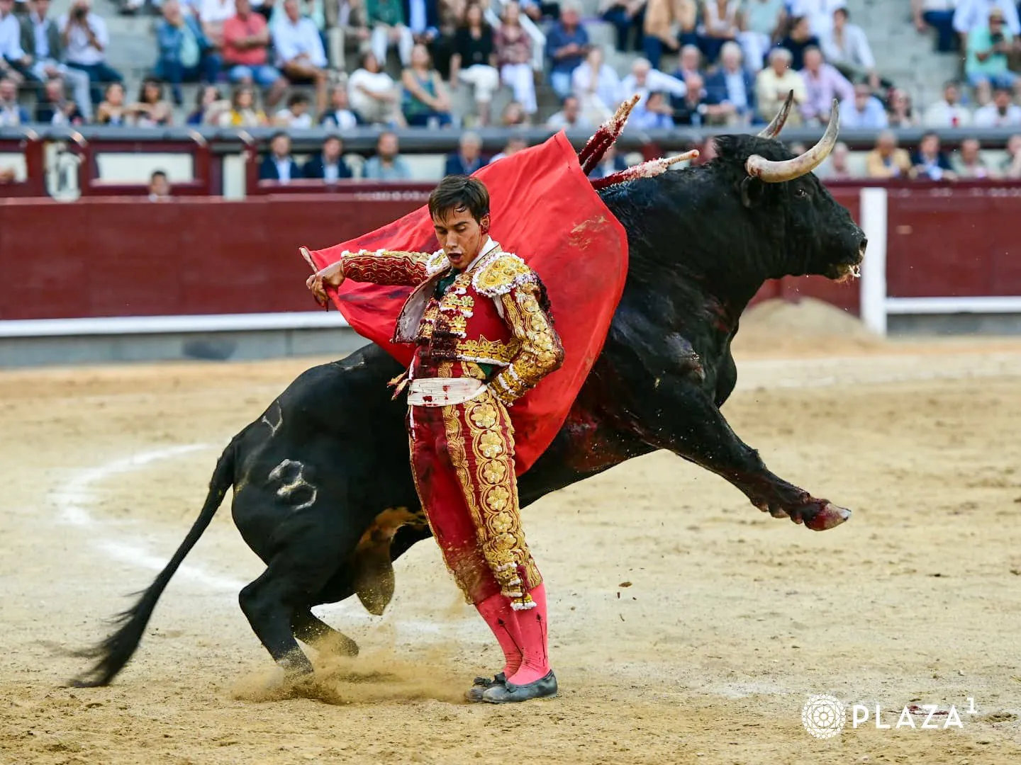 Foto 5 - Reveladora tarde de Ismael Mart&iacute;n: firmeza y muchos arrestos en Las Ventas