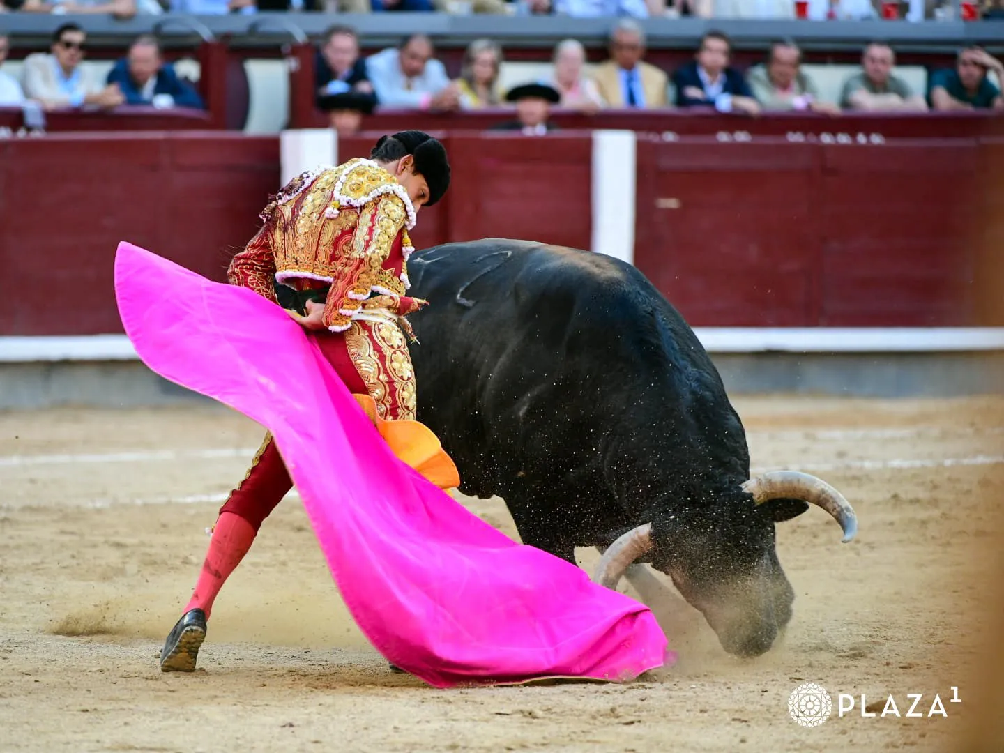Foto 4 - Reveladora tarde de Ismael Mart&iacute;n: firmeza y muchos arrestos en Las Ventas