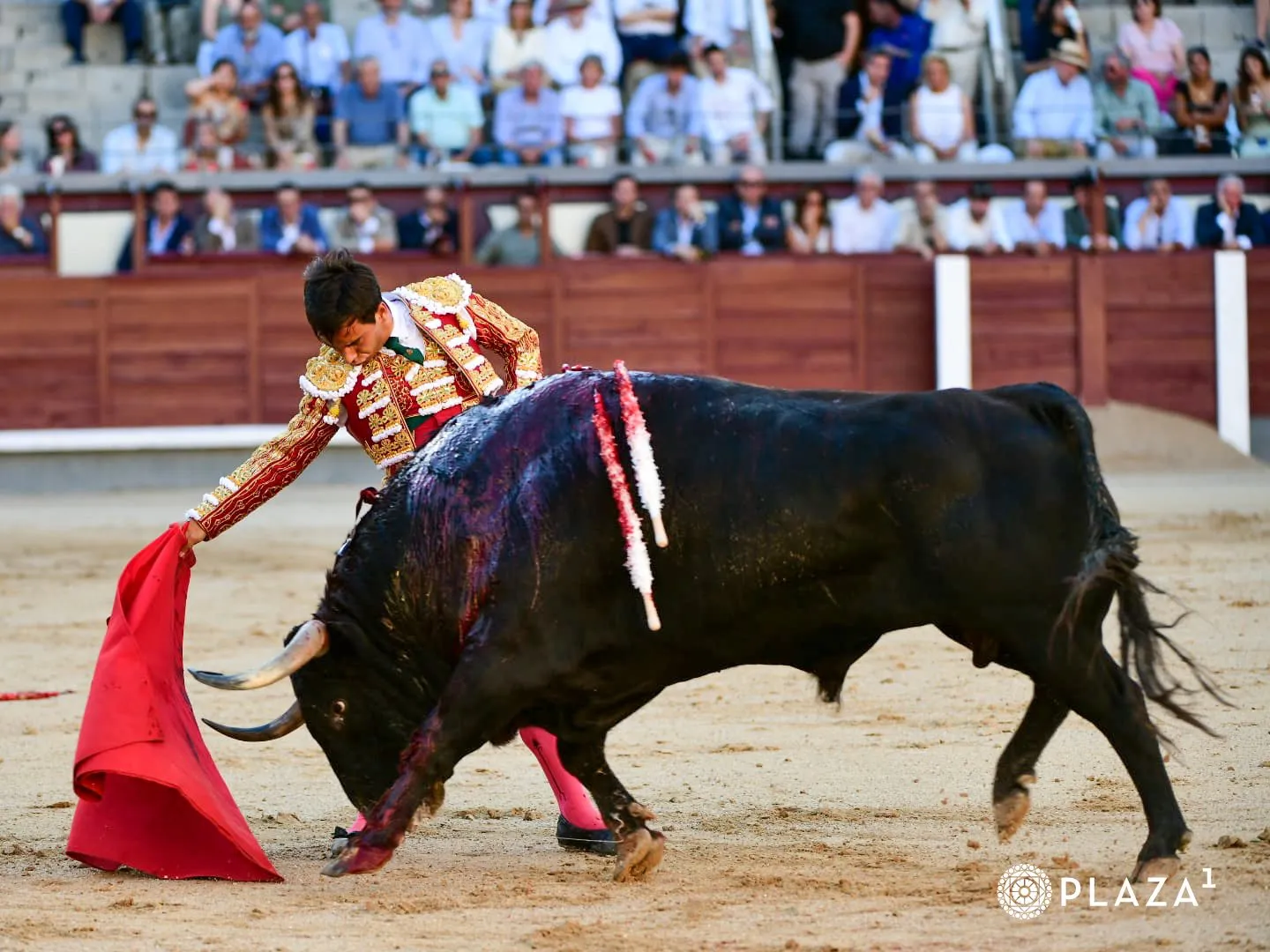 Foto 2 - Reveladora tarde de Ismael Mart&iacute;n: firmeza y muchos arrestos en Las Ventas