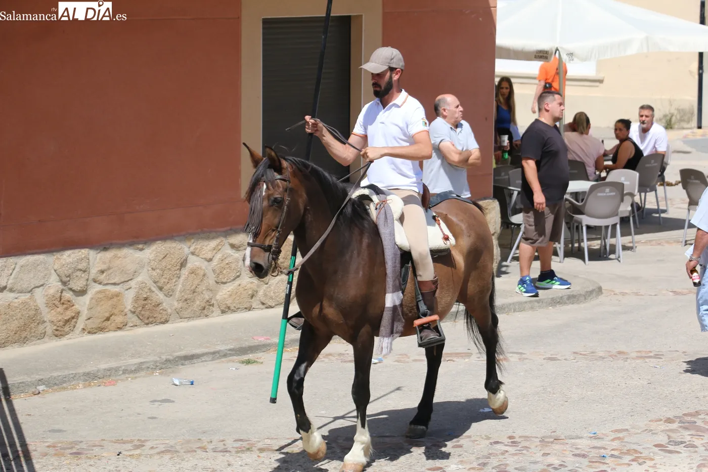 Encierro de Miranda de Perocalvo en Hinojosa de Duero / CORRAL