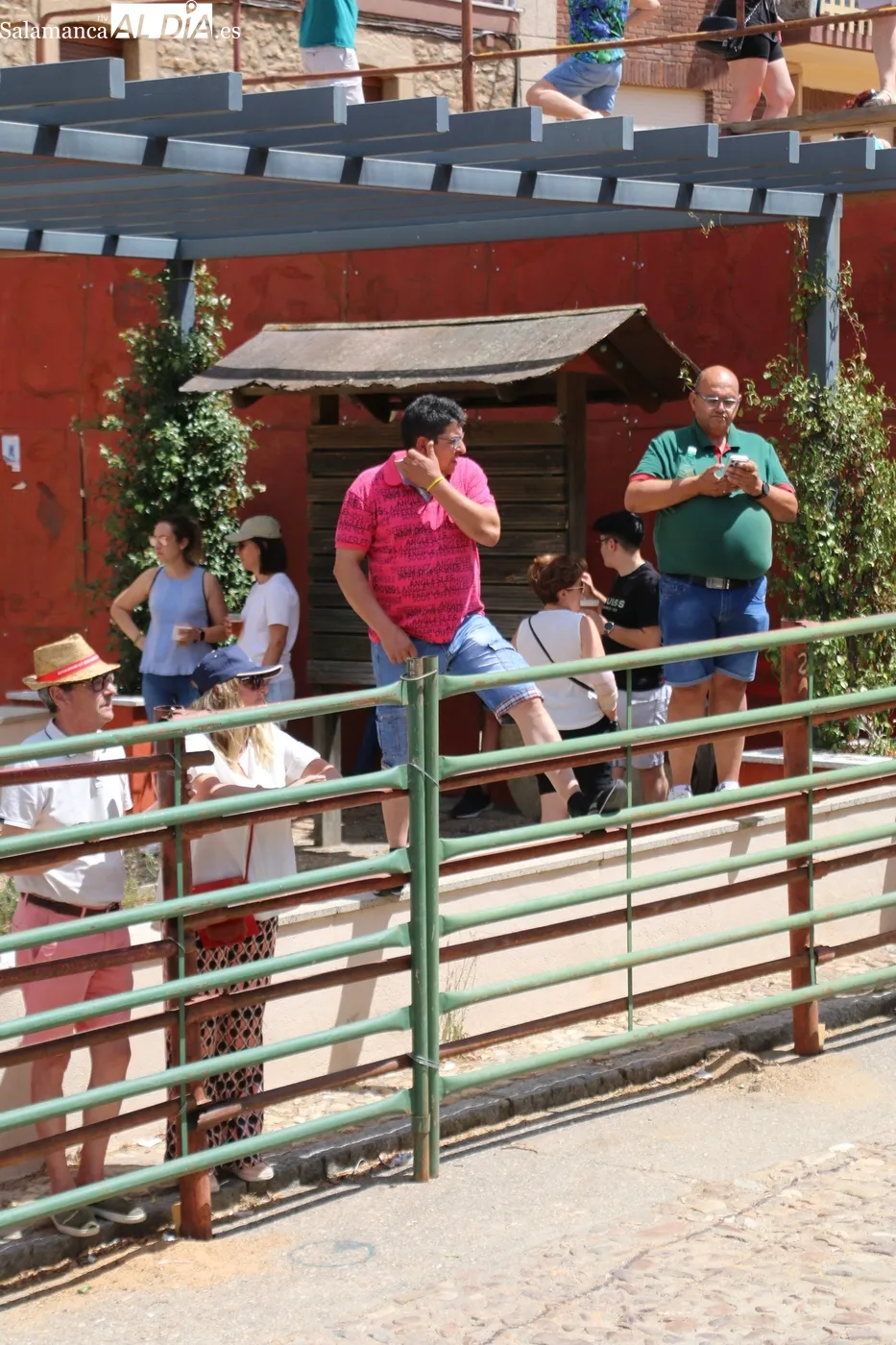 Encierro de Miranda de Perocalvo en Hinojosa de Duero / CORRAL