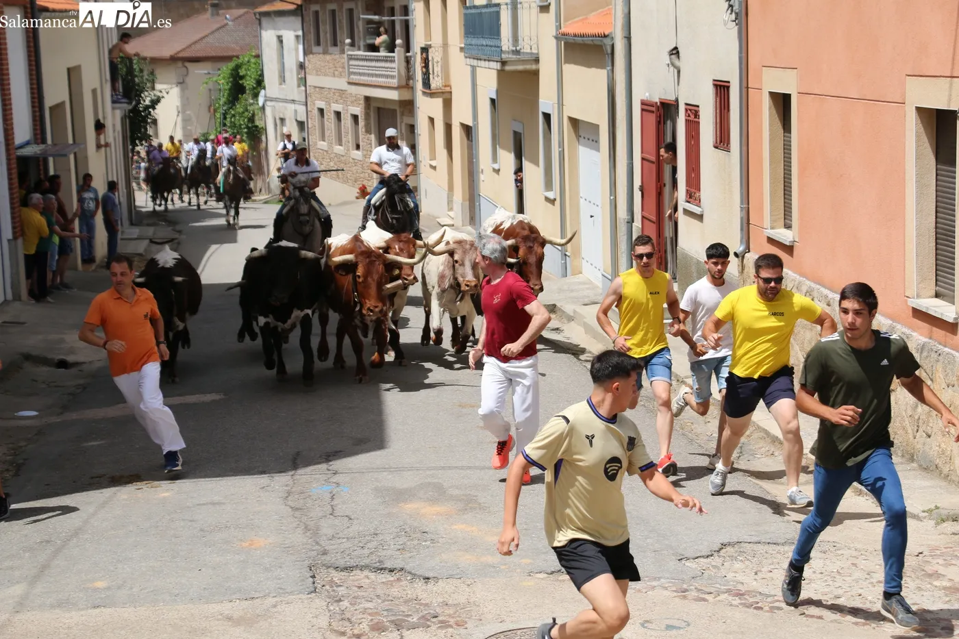 Hinojosa de Duero despide San Juan con encierro a caballo