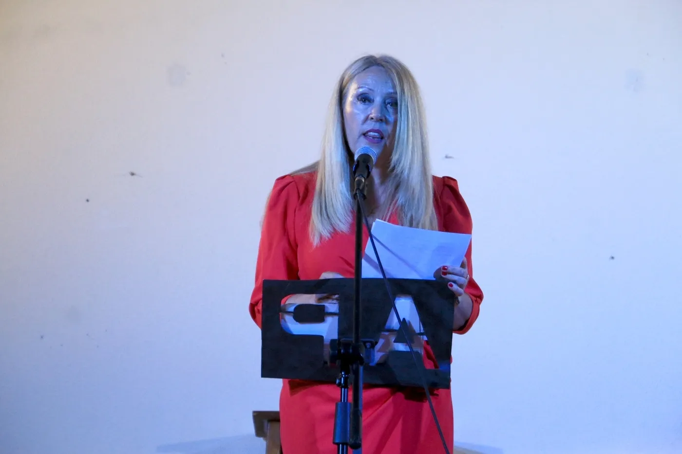 Foto 5 - Jos&eacute; Ignacio Tamayo gana el XXV Certamen Literario 'Carmen Mart&iacute;n Gaite' de Lumbrales