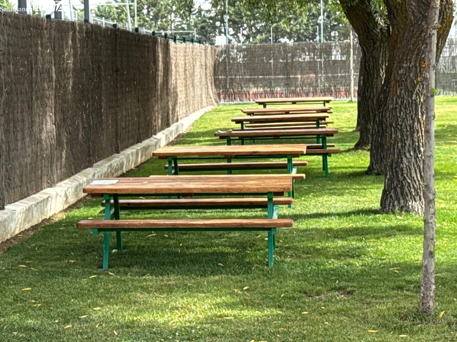 Foto 2 - El verano llega a Pe&ntilde;aranda con la apertura de las piscinas y la renovaci&oacute;n integral de instalaciones: M&aacute;s de 325.000 euros de inversi&oacute;n 