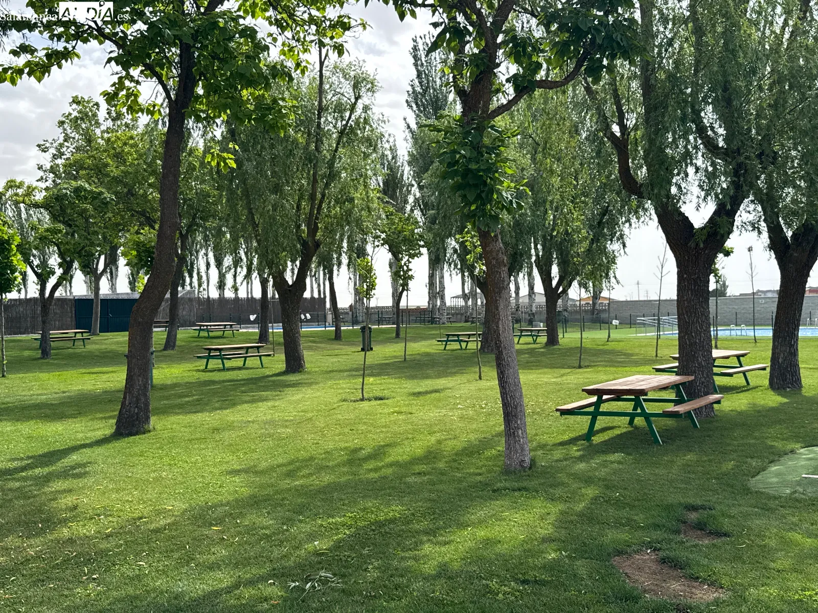 Foto 4 - El verano llega a Pe&ntilde;aranda con la apertura de las piscinas y la renovaci&oacute;n integral de instalaciones: M&aacute;s de 325.000 euros de inversi&oacute;n 
