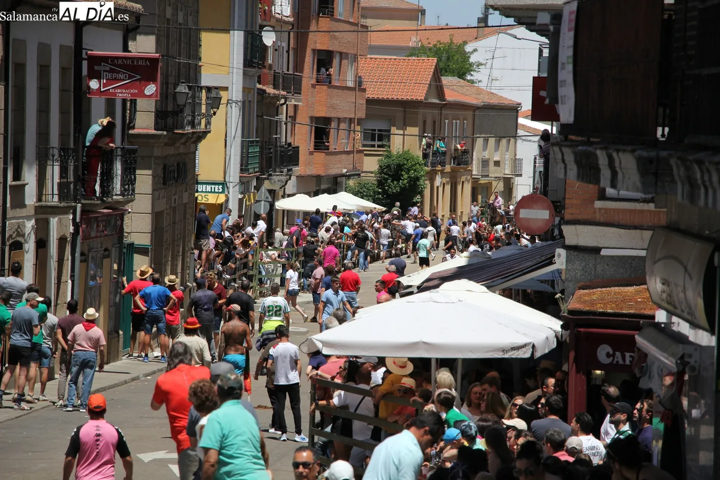 Encierro a caballo del Corpus en Vitigudino / CORRAL