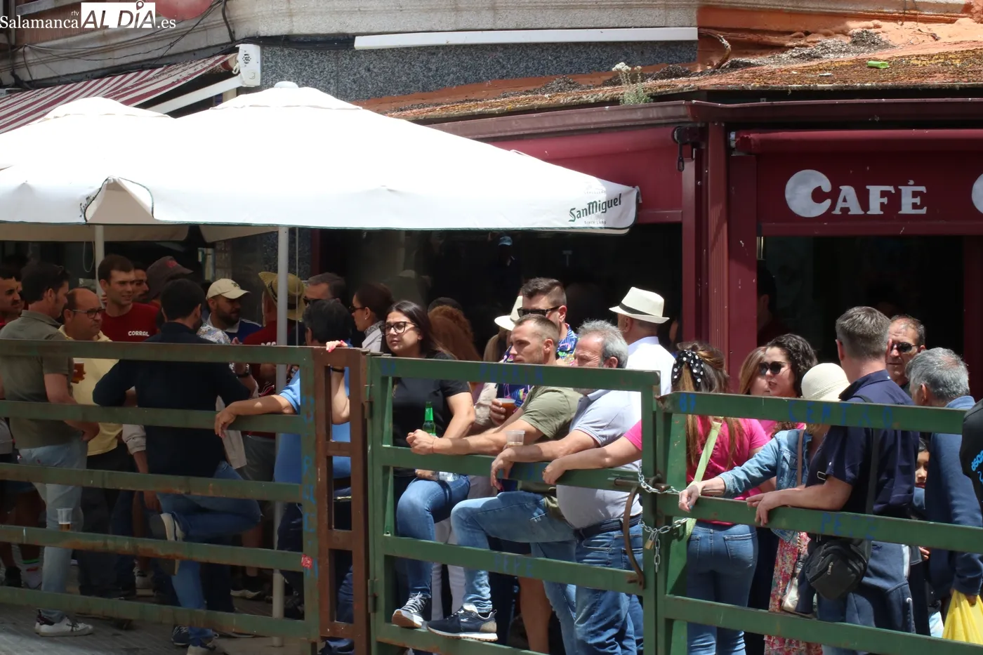 Encierro del viernes de Corpus en Vitigudino / LUIS MIGUEL CONDE