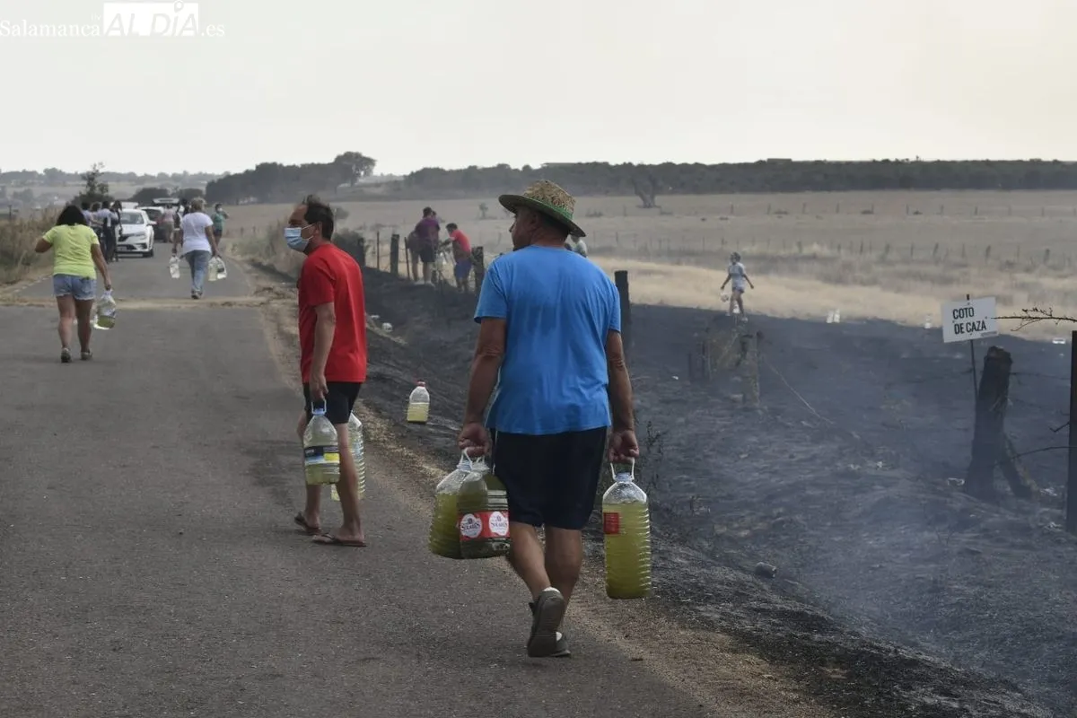 Uno de los incendios en la comarca mirobrigense el pasado verano