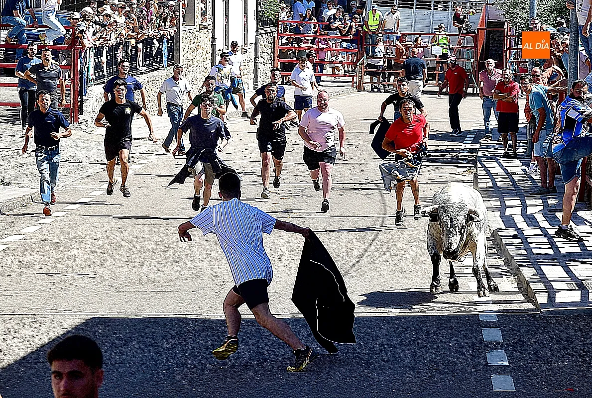 I Toro del Cajón en Navasfrías