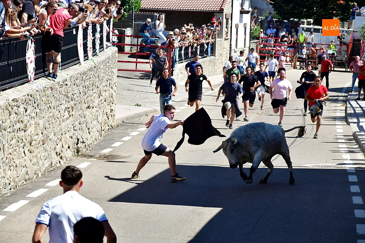 I Toro del Cajón en Navasfrías
