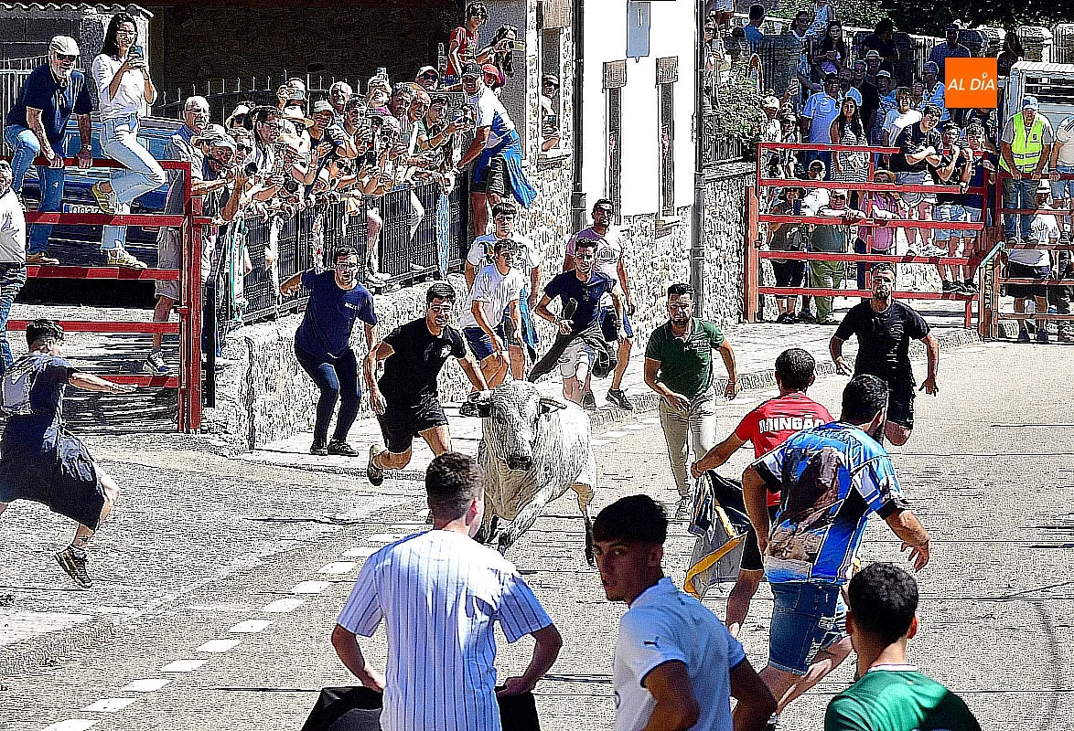 I Toro del Cajón en Navasfrías