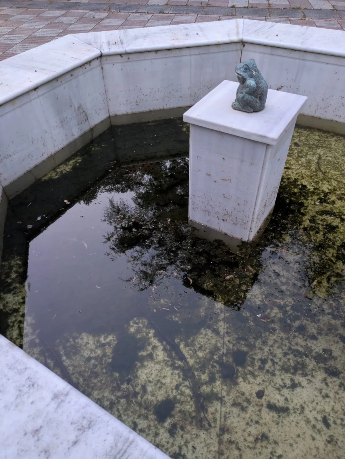Foto 2 - El PSOE reclama un plan de limpieza y mantenimiento para las fuentes de Ciudad Rodrigo