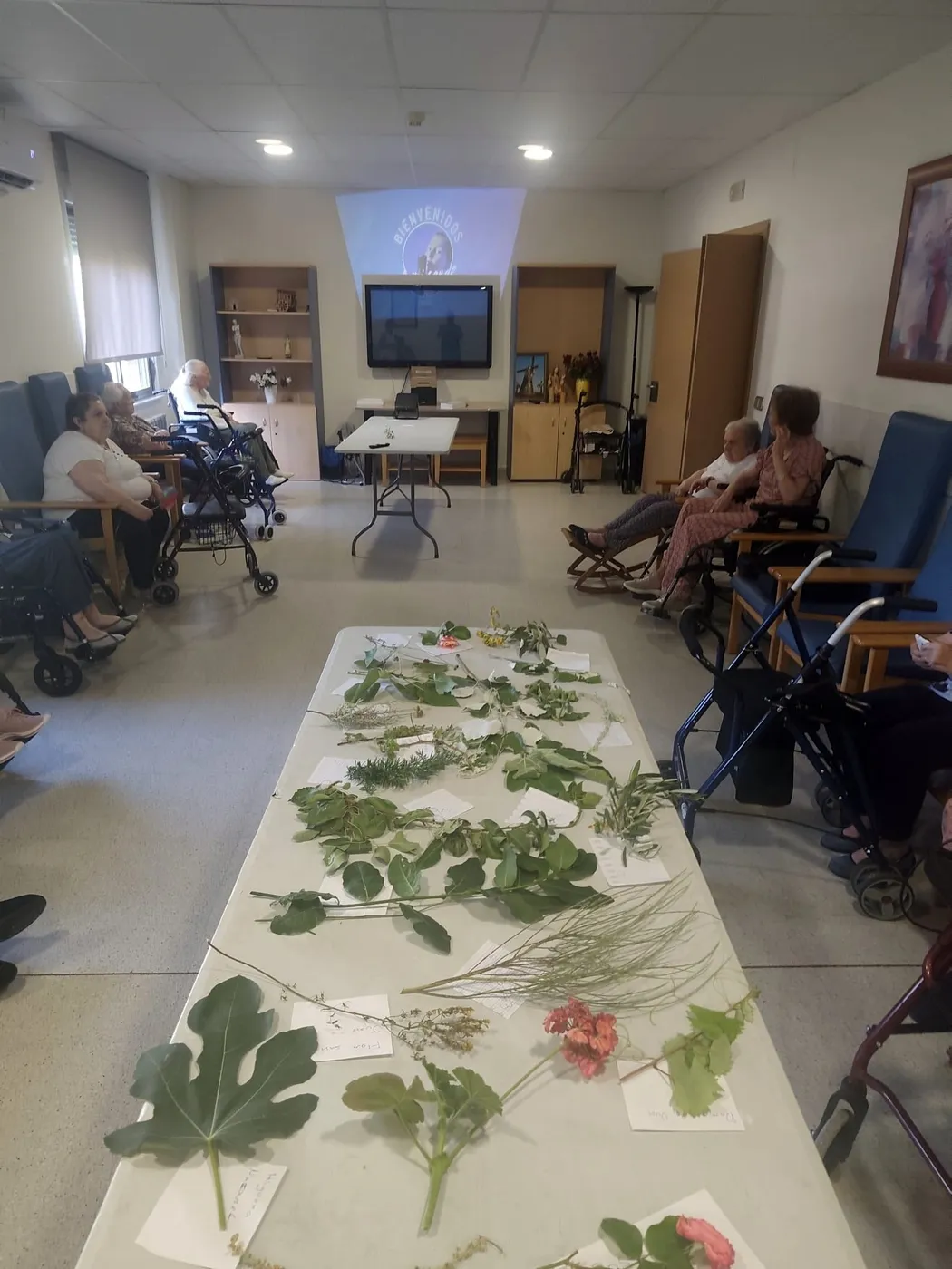 Los mayores han participado en la identificación de especies de flora impartido por Juanma Ruiz