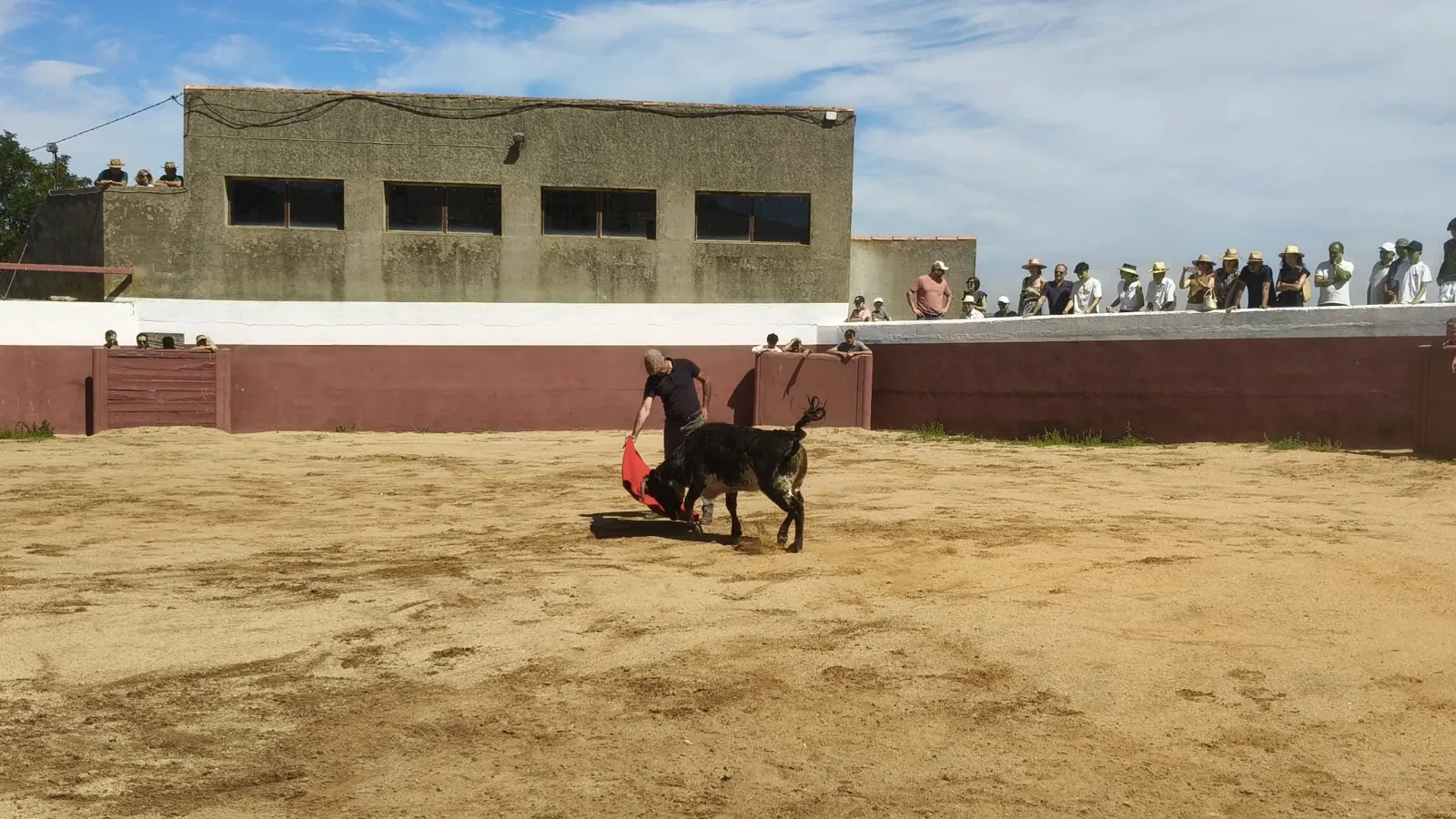 Foto 7 - El campo charro se viste de gala para la cita anual de la Pe&ntilde;a Jos&eacute; Ram&oacute;n Mart&iacute;n
