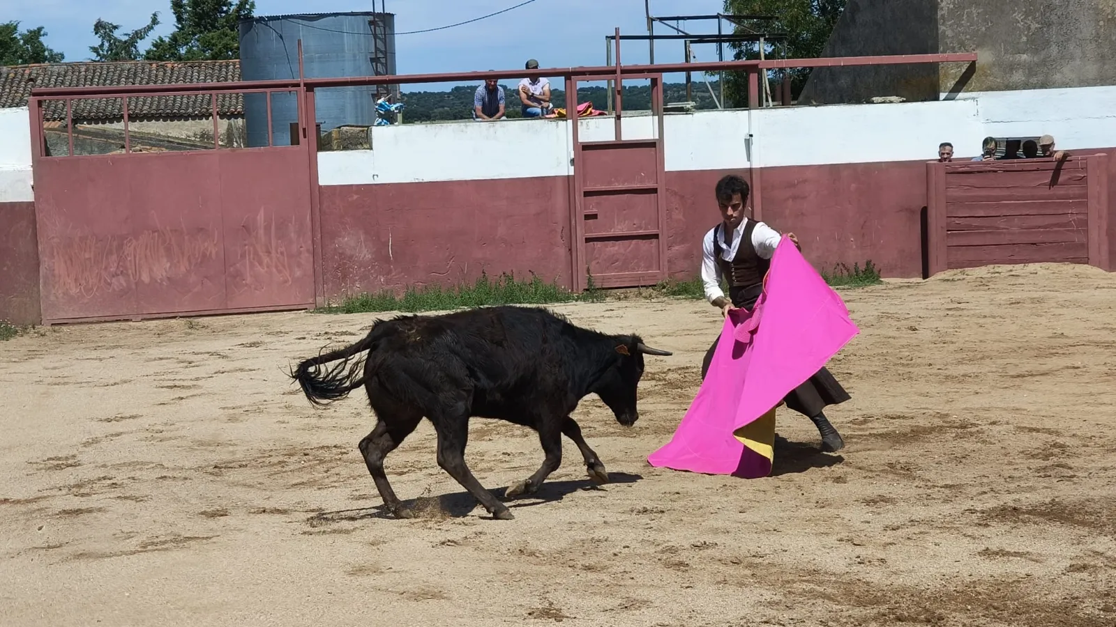 Foto 5 - El campo charro se viste de gala para la cita anual de la Pe&ntilde;a Jos&eacute; Ram&oacute;n Mart&iacute;n