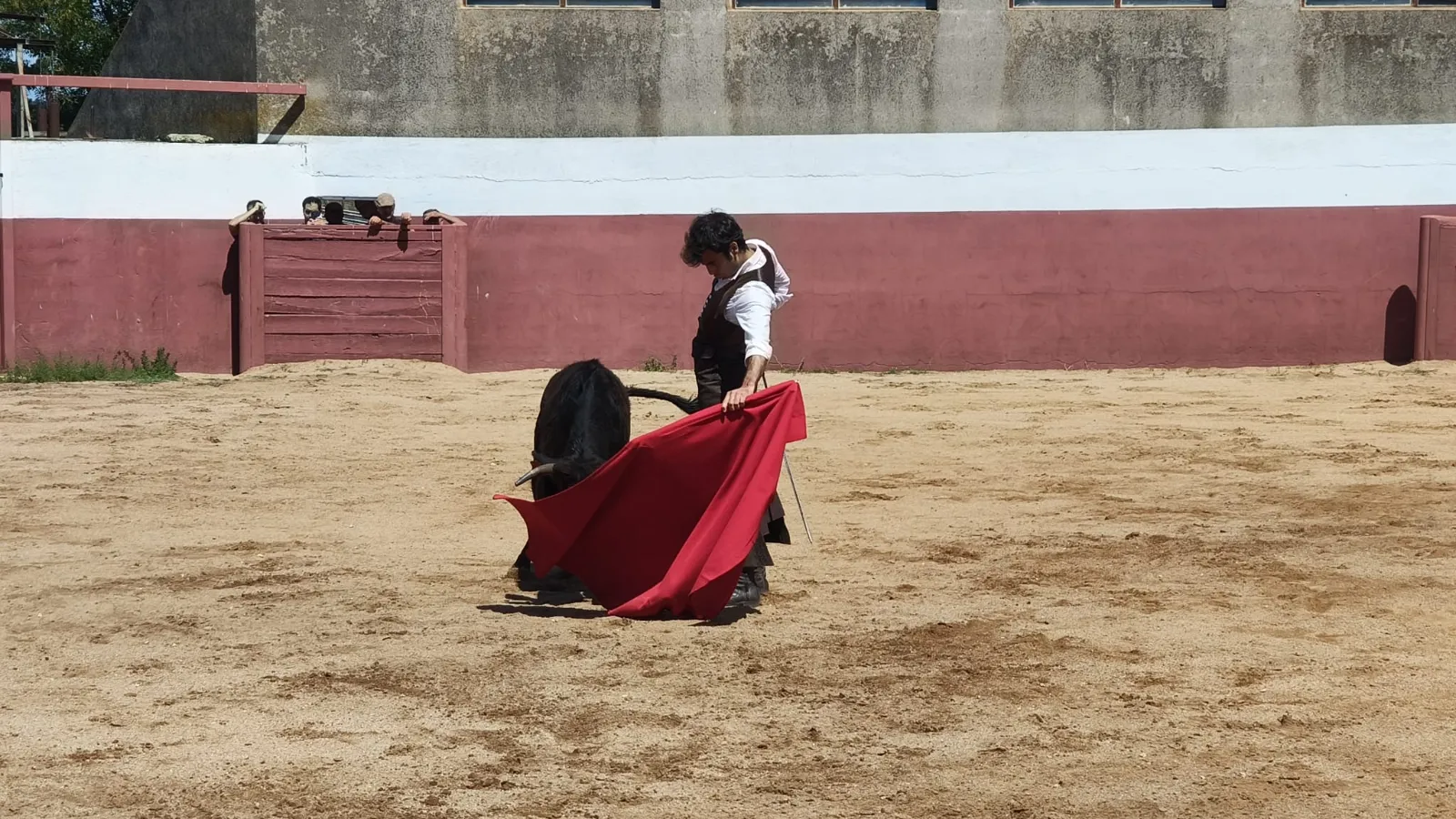 Foto 4 - El campo charro se viste de gala para la cita anual de la Pe&ntilde;a Jos&eacute; Ram&oacute;n Mart&iacute;n