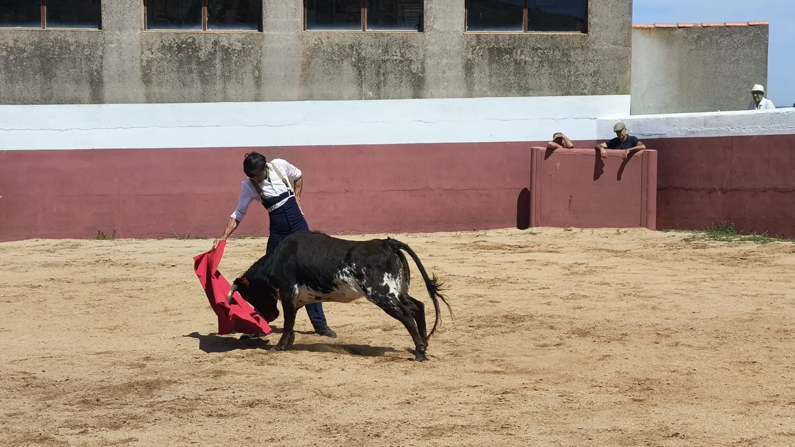 Foto 2 - El campo charro se viste de gala para la cita anual de la Pe&ntilde;a Jos&eacute; Ram&oacute;n Mart&iacute;n