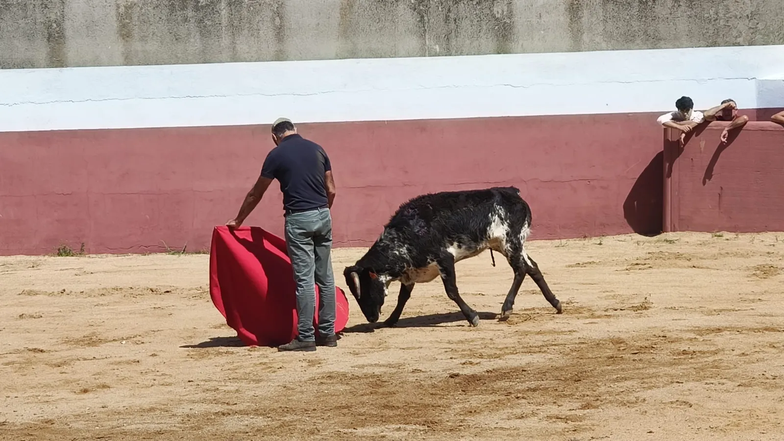 Foto 6 - El campo charro se viste de gala para la cita anual de la Pe&ntilde;a Jos&eacute; Ram&oacute;n Mart&iacute;n