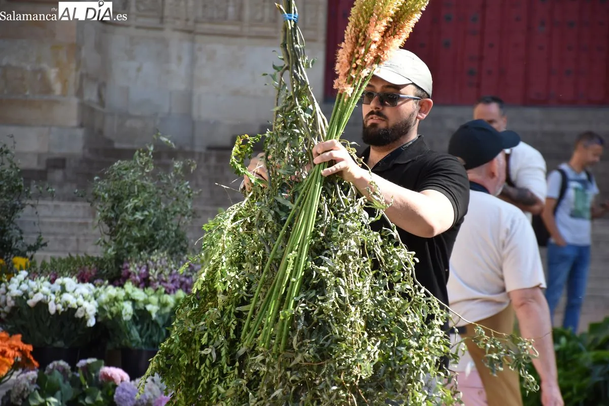 X Campeonato Mejor Artesano Florista de España en el Patio Chico de la Catedral. Foto de Miguel González