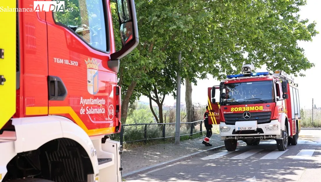 Incendio en la glorieta de Leonardo da Vinci de Salamanca