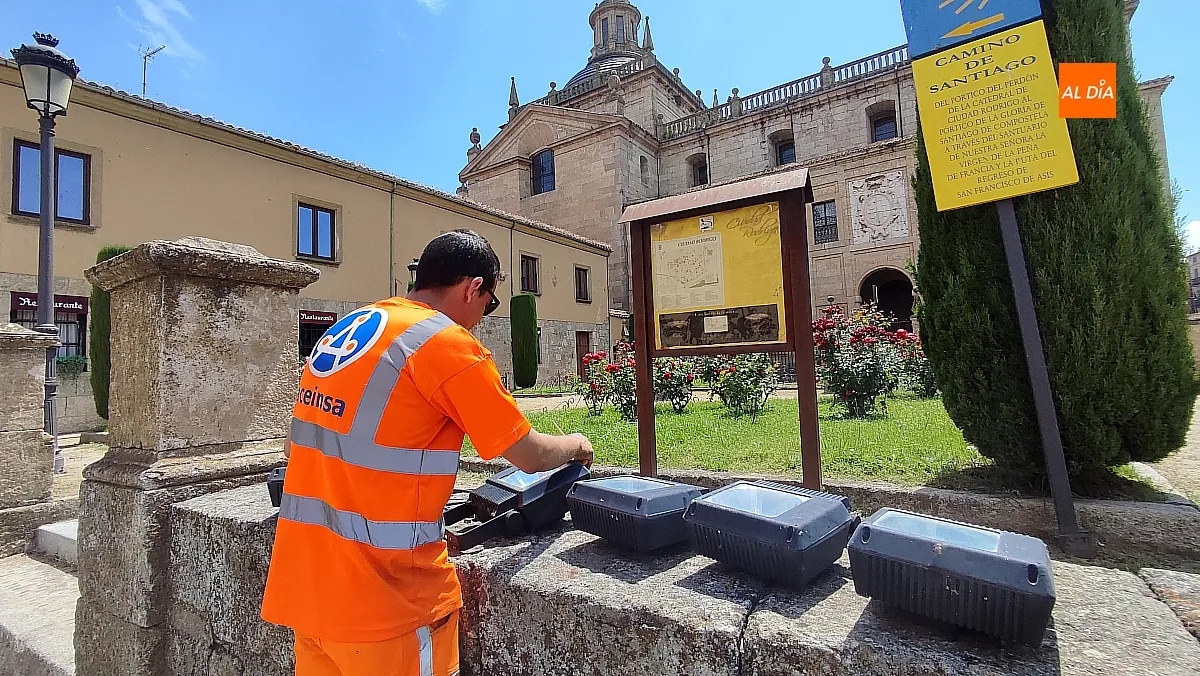 Comienzan las obras de renovación del alumbrado en la Catedral y Cerralbo 