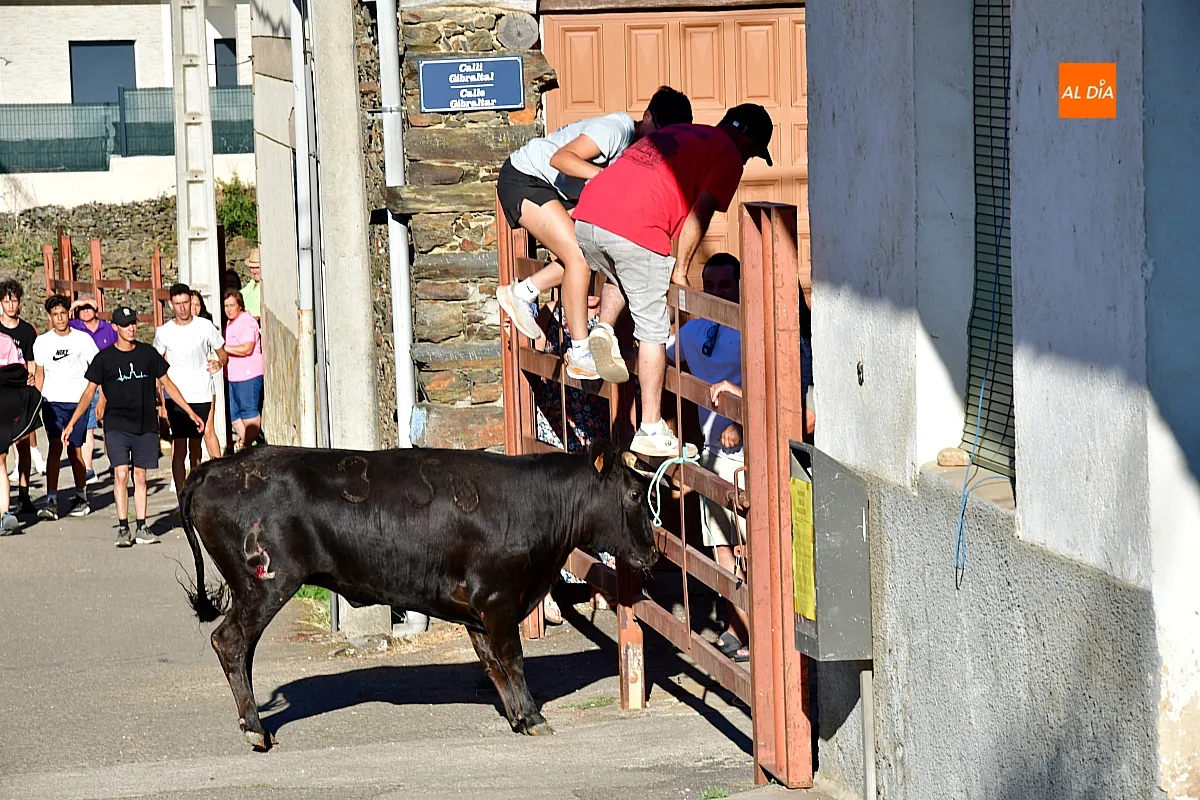 Capea popular en Robleda por San Juan